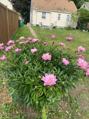 $265,000 | 3824 Vera Cruz Avenue North, Robbinsdale, MN 55422