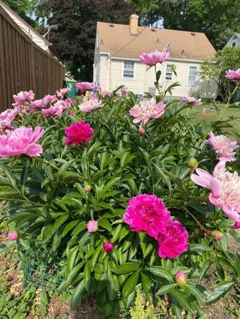 $265,000 | 3824 Vera Cruz Avenue North, Robbinsdale, MN 55422