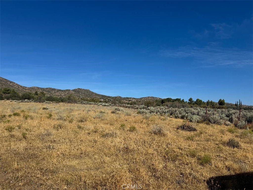44243 Chapman Road Anza, CA 92539 - Photo 8 of 16