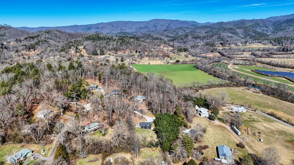 260 Moore View Homes Road Hayesville, NC 28904 - Photo 54 of 55