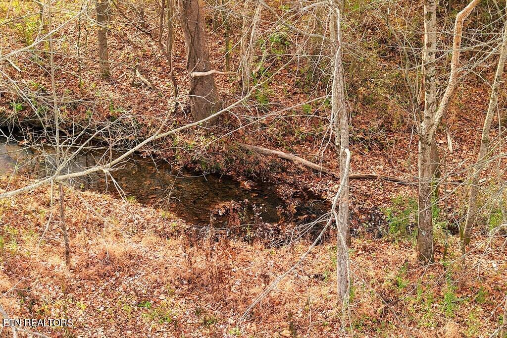Old Kentucky Road Sparta, TN 38583 - Photo 11 of 11 ENG11