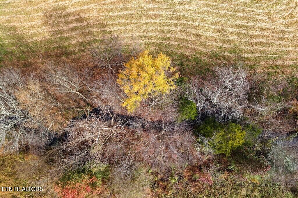 Old Kentucky Road Sparta, TN 38583 - Photo 10 of 11 ENG10
