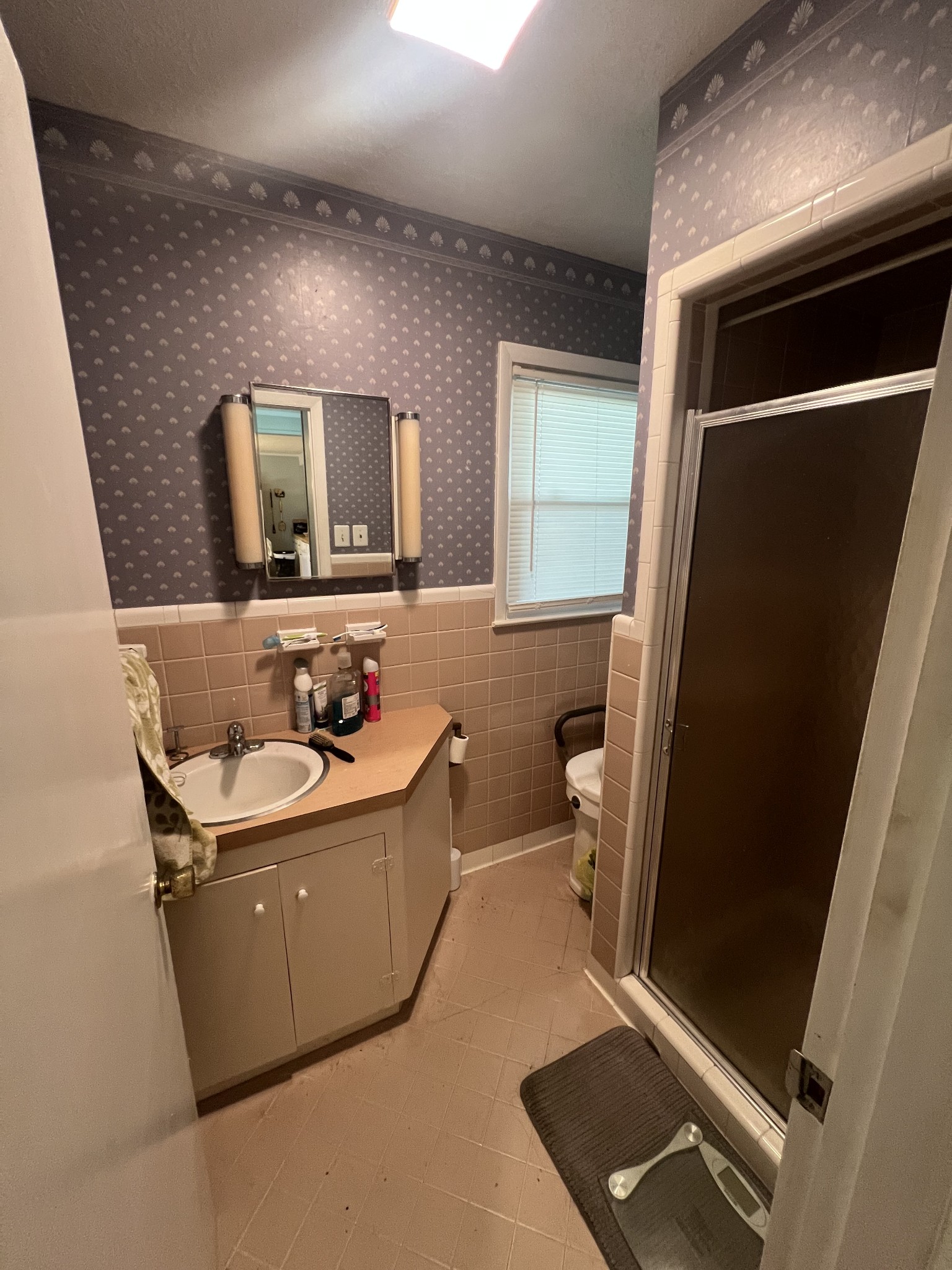 105 Tollgate Road Pulaski, TN 38478 - Photo 11 of 38 a bathroom with a sink a toilet and mirror