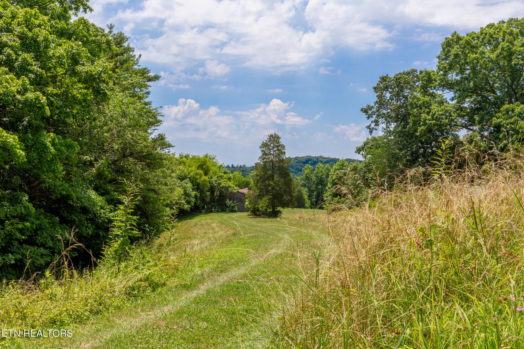 7818 Clapps Chapel Road Corryton, TN 37721 - Photo 12 of 55