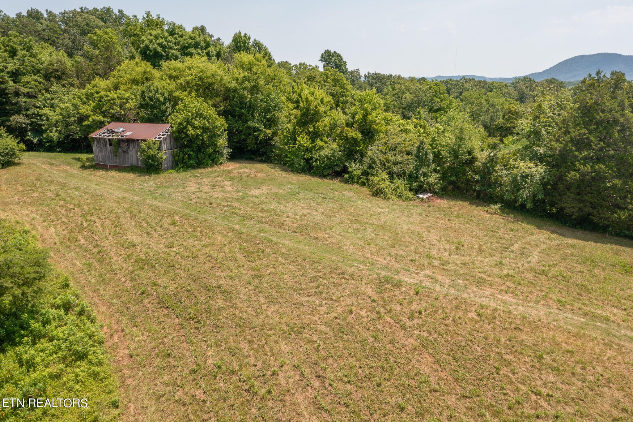 7818 Clapps Chapel Road Corryton, TN 37721 - Photo 14 of 55