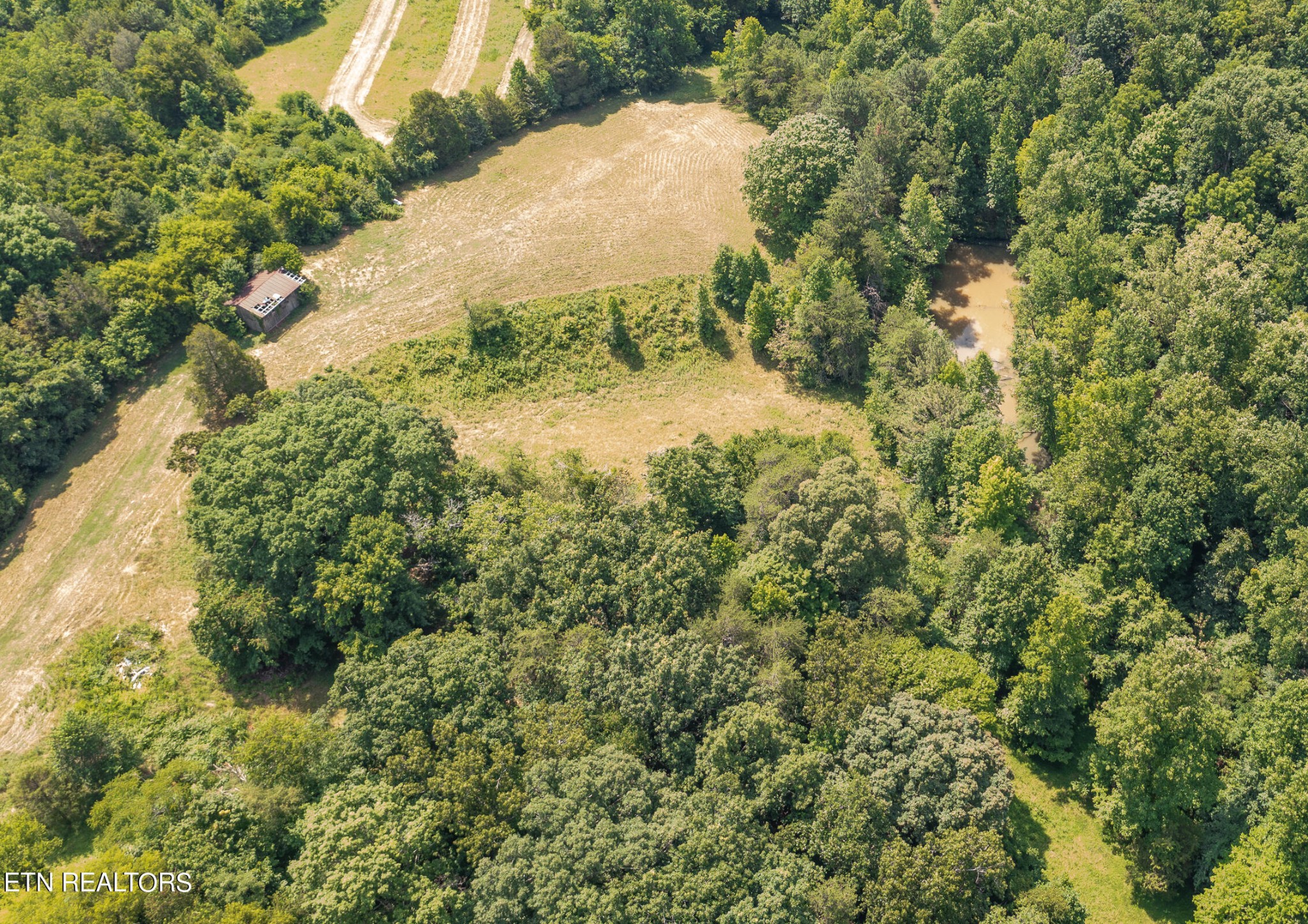 7818 Clapps Chapel Road Corryton, TN 37721 - Photo 42 of 55