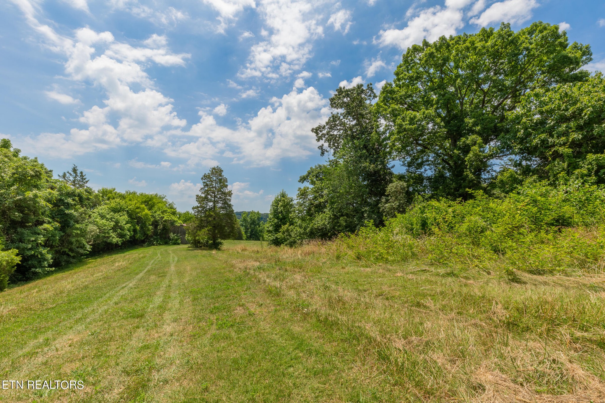 7818 Clapps Chapel Road Corryton, TN 37721 - Photo 45 of 55