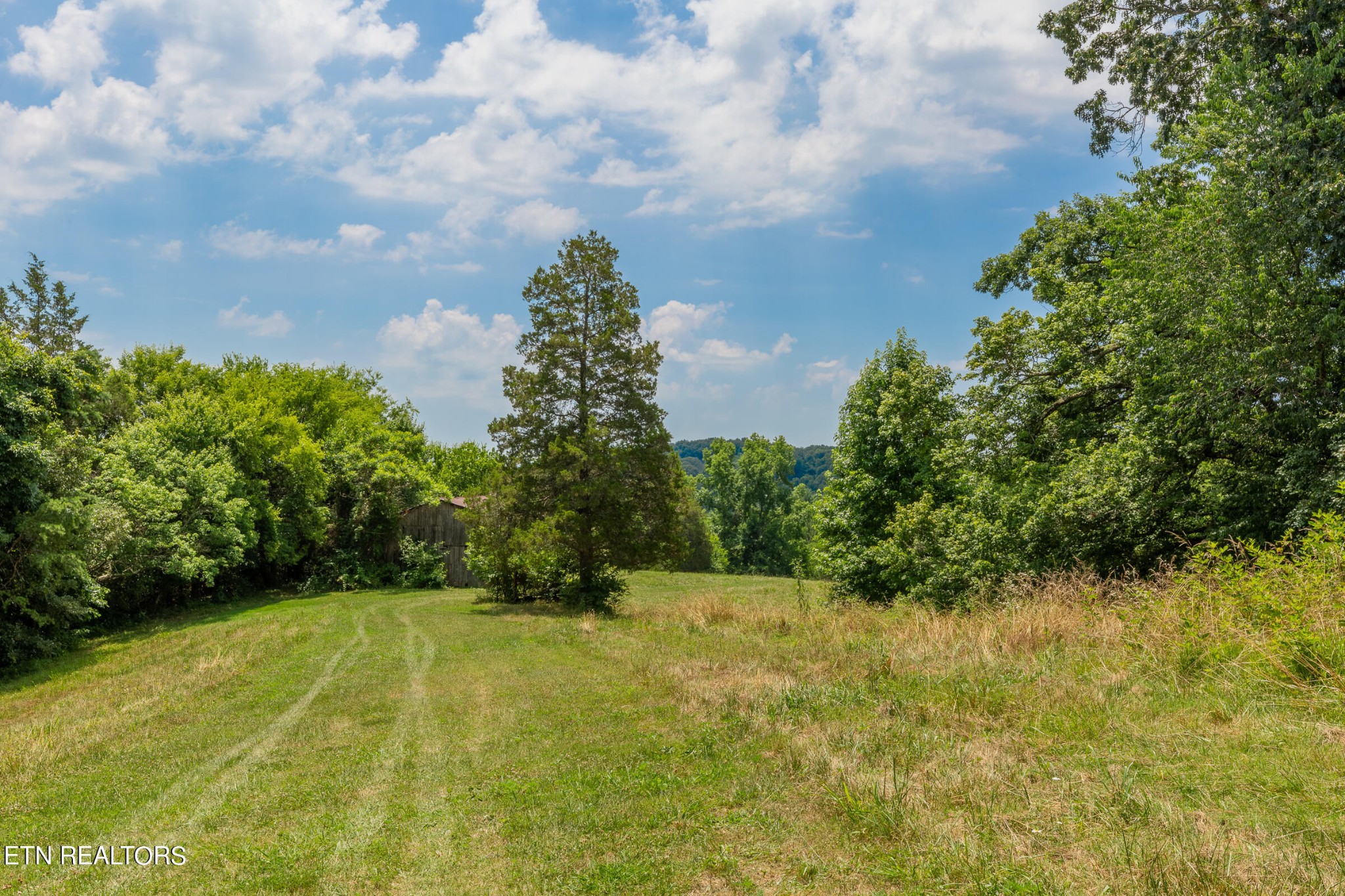 7818 Clapps Chapel Road Corryton, TN 37721 - Photo 46 of 55