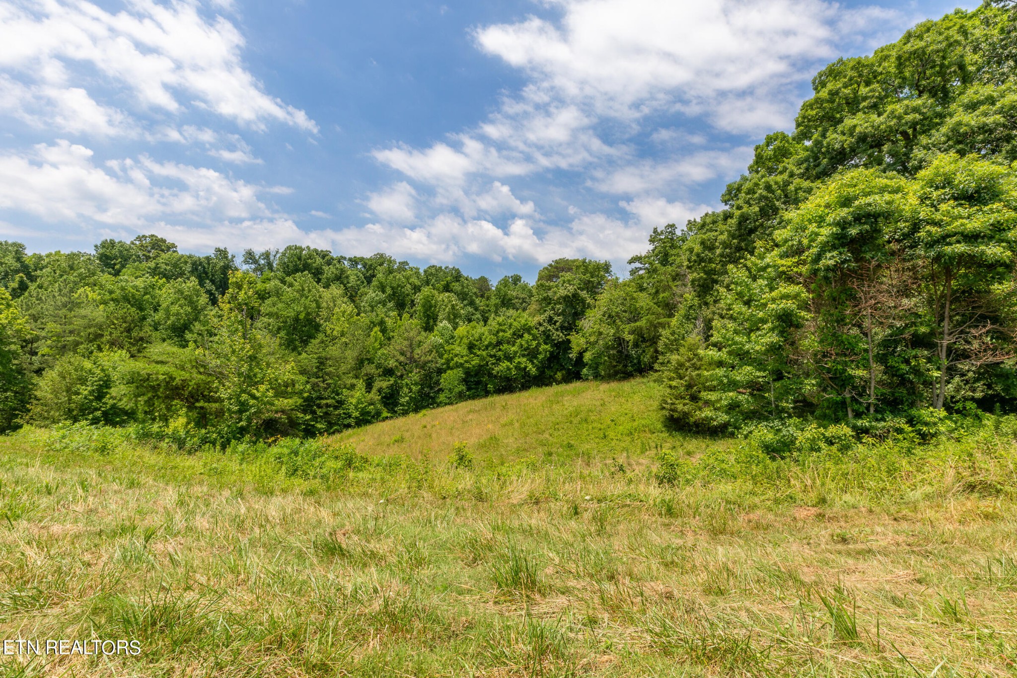 7818 Clapps Chapel Road Corryton, TN 37721 - Photo 47 of 55