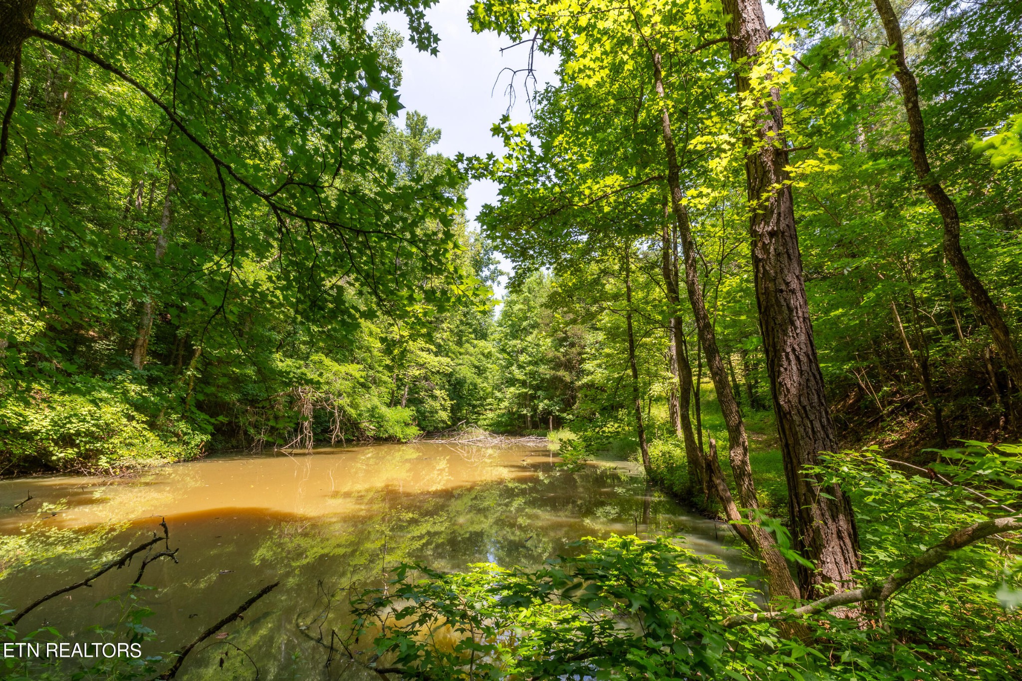 7818 Clapps Chapel Road Corryton, TN 37721 - Photo 51 of 55