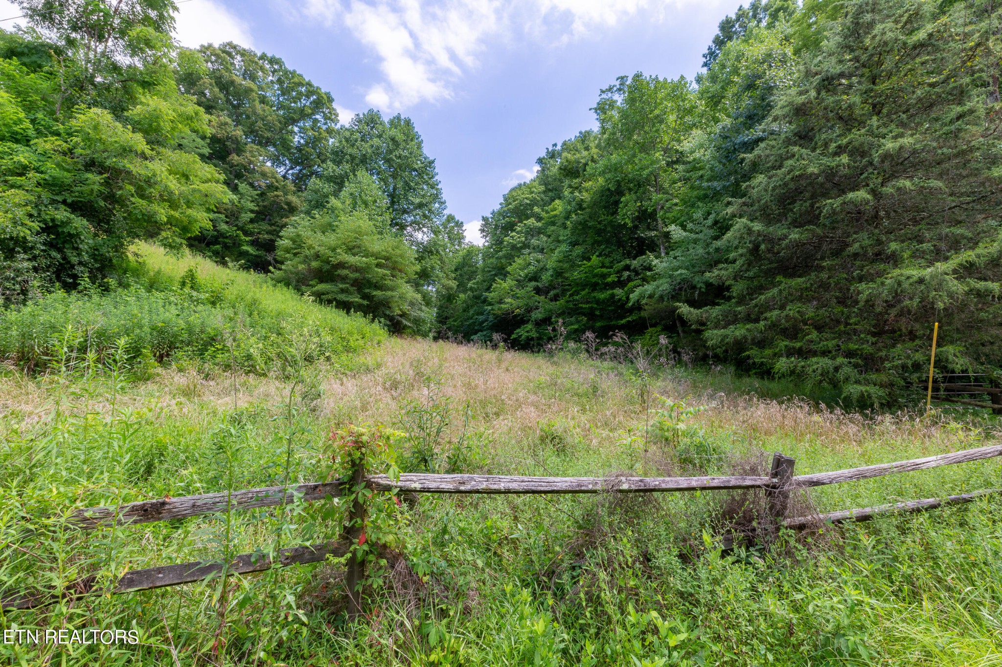 7818 Clapps Chapel Road Corryton, TN 37721 - Photo 54 of 55