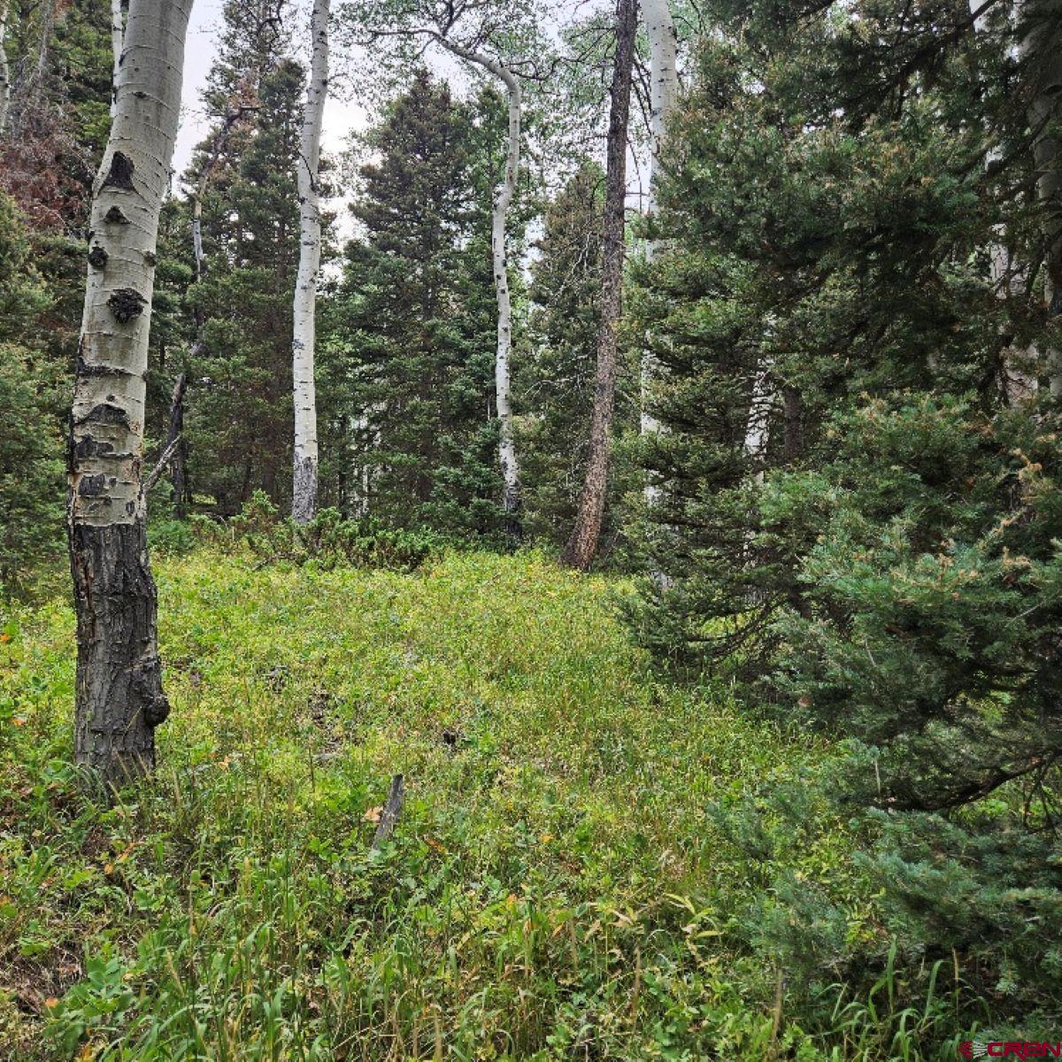 390 Rim Road Cimarron, CO 81220 - Photo 8 of 13