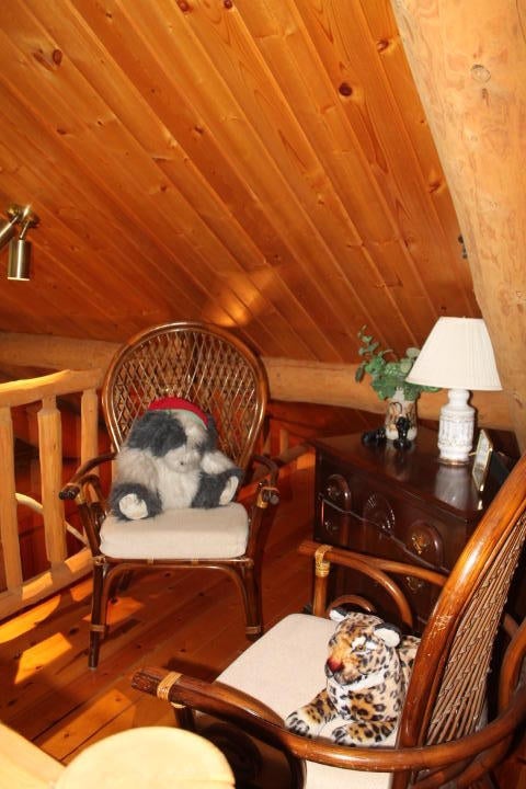 9600 South Shingle Bay Road Sault Ste. Marie, MI 49783 - Photo 58 of 91 Gallery Image 58