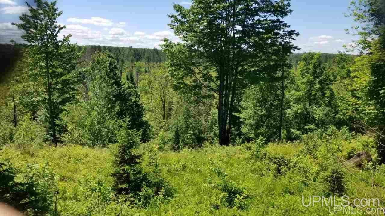 Tbd Parks Farm Road, Unit LOT #2 4 29 ACRES Iron River, MI 49935 - Photo 8 of 12