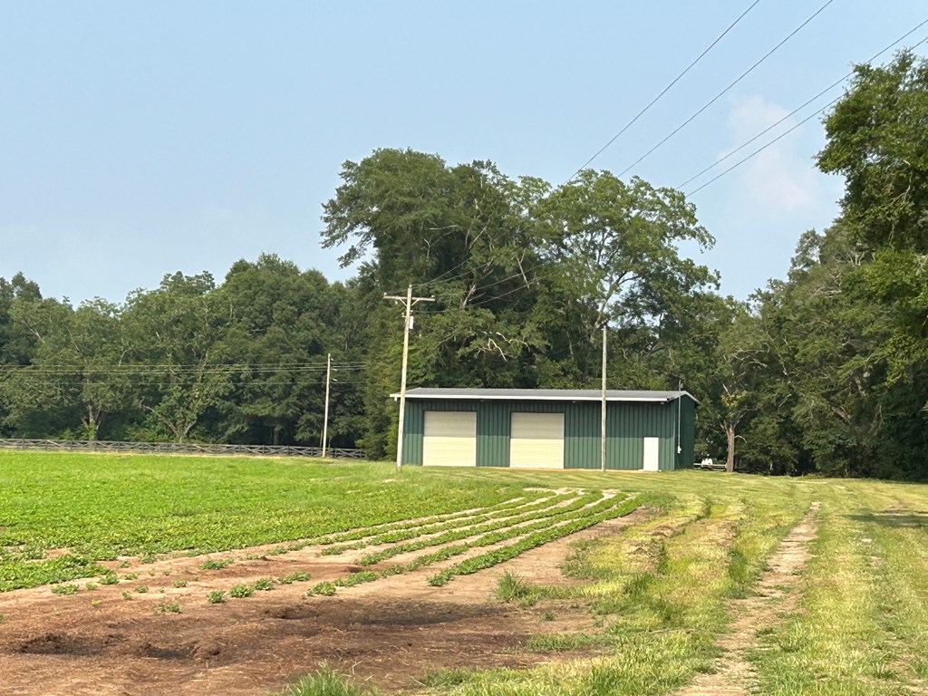6836 North Co Road Midland City, AL 36350 - Photo 12 of 13