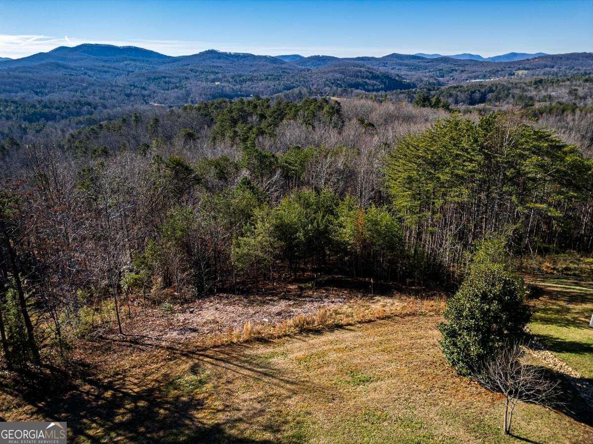 Lot 13 High Meadows Trail Morganton, GA 30560 - Photo 2 of 8