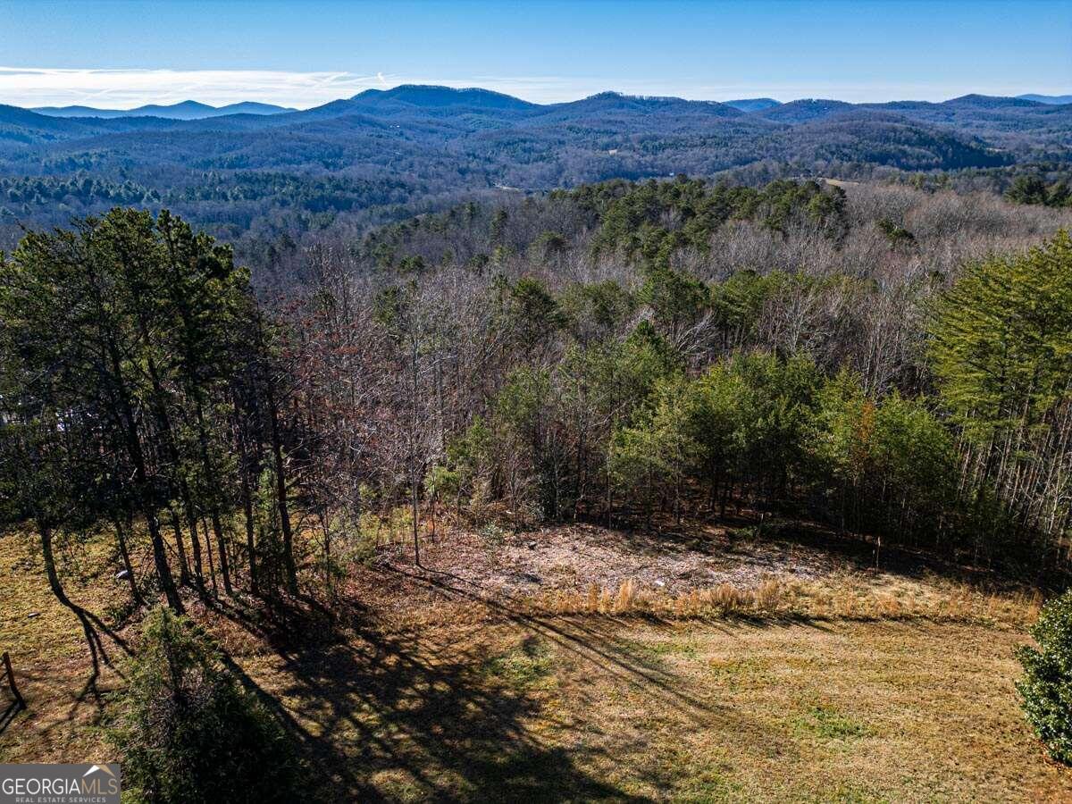 Lot 13 High Meadows Trail Morganton, GA 30560 - Photo 3 of 8