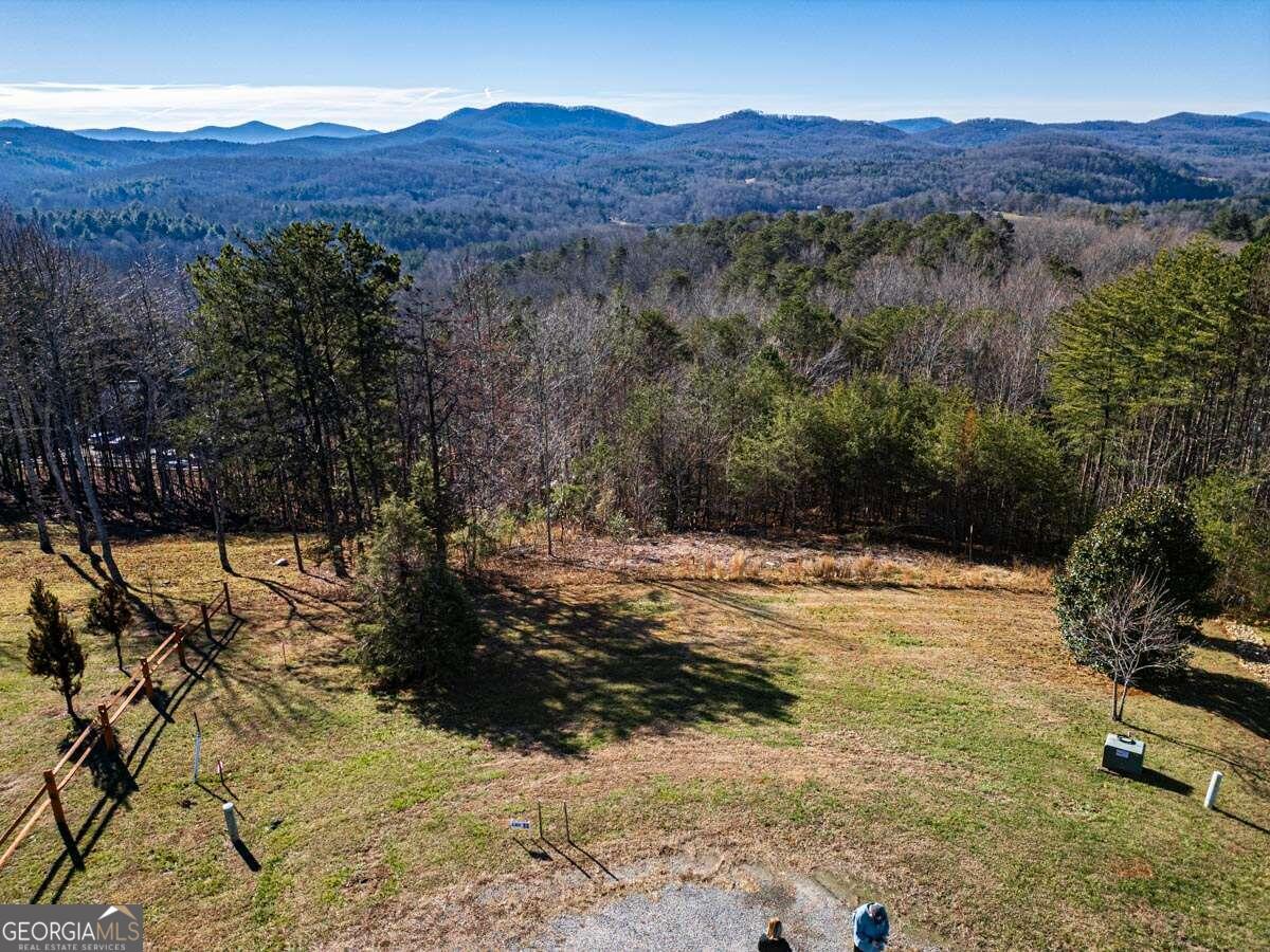 Lot 13 High Meadows Trail Morganton, GA 30560 - Photo 4 of 8