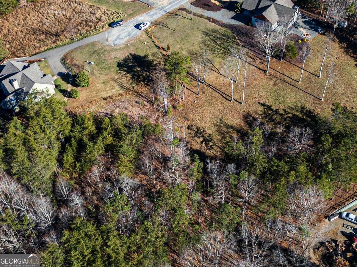 Lot 13 High Meadows Trail Morganton, GA 30560 - Photo 7 of 8