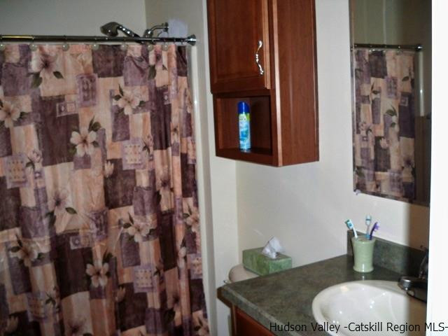 548 Carroll Hinkley Road Roxbury, NY 12474 - Photo 26 of 35 a bathroom with a granite countertop shower a toilet and a sink
