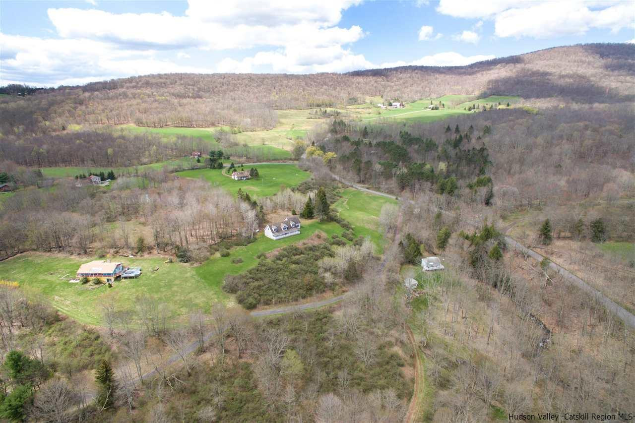 548 Carroll Hinkley Road Roxbury, NY 12474 - Photo 34 of 35 a view of a lush green hillside and trees