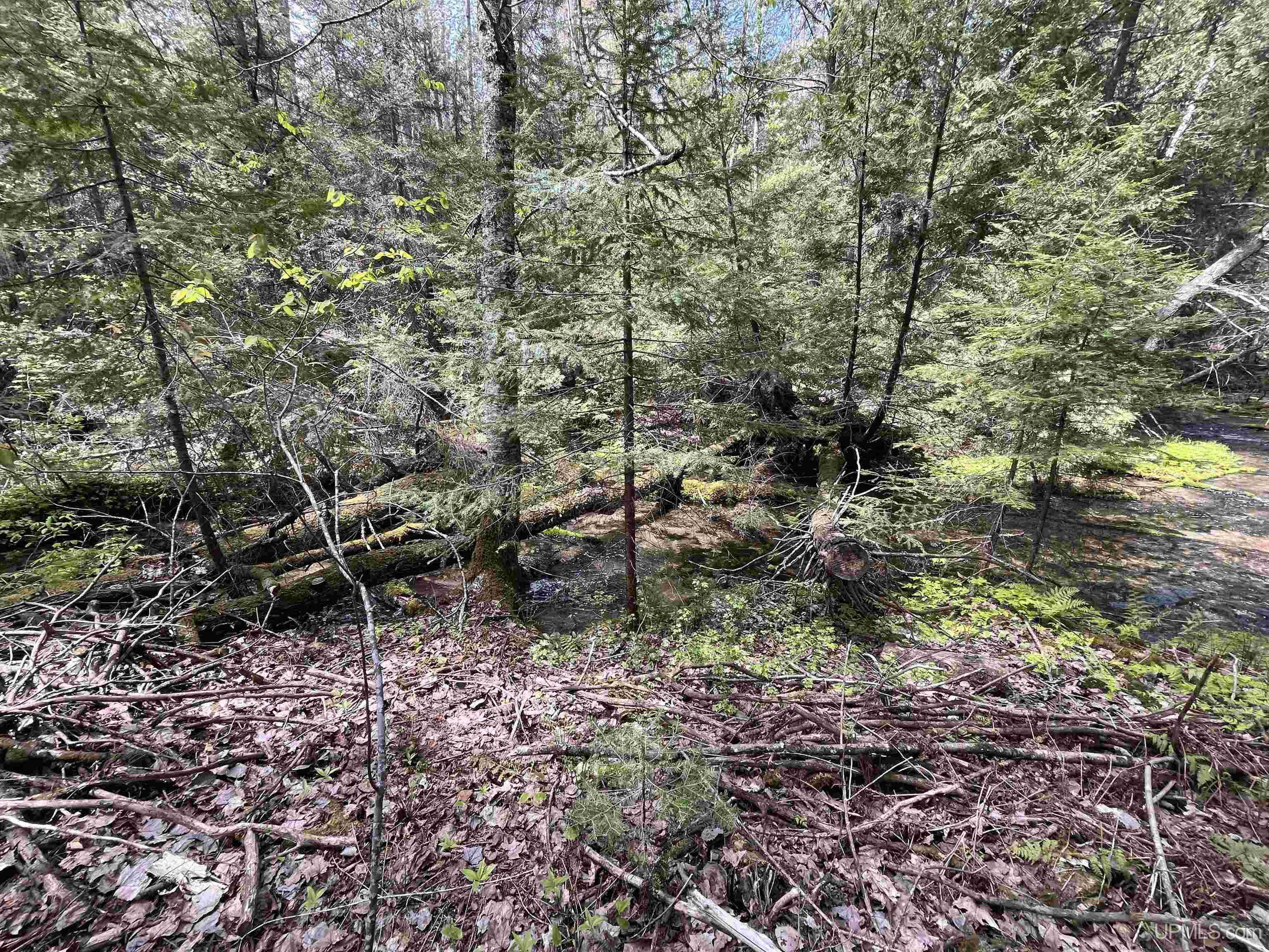 38-acres County Rd NA Road Marquette, MI 49855 - Photo 46 of 70