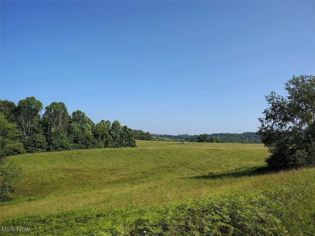 226 Banner Hill Road Spencer, WV 25276 - Photo 6 of 35