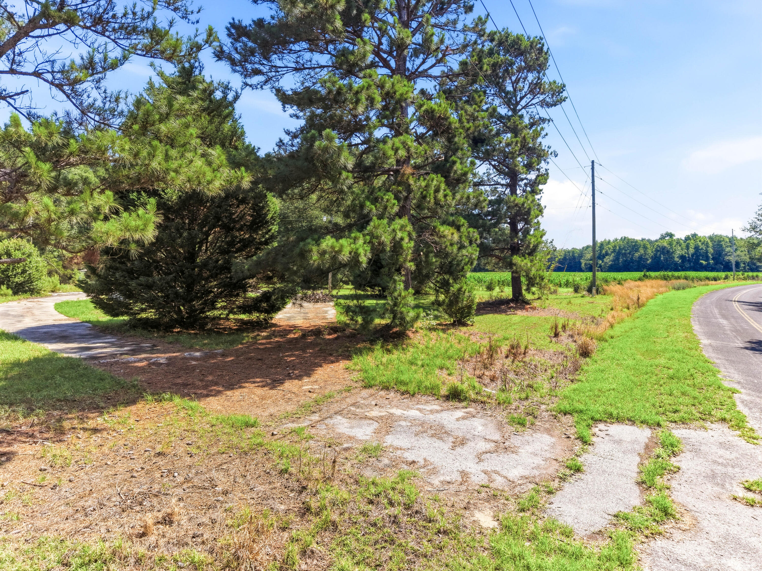 2023 Joseph Lemon And Dingle Road Manning, SC 29102 - Photo 19 of 21 19-2023-18