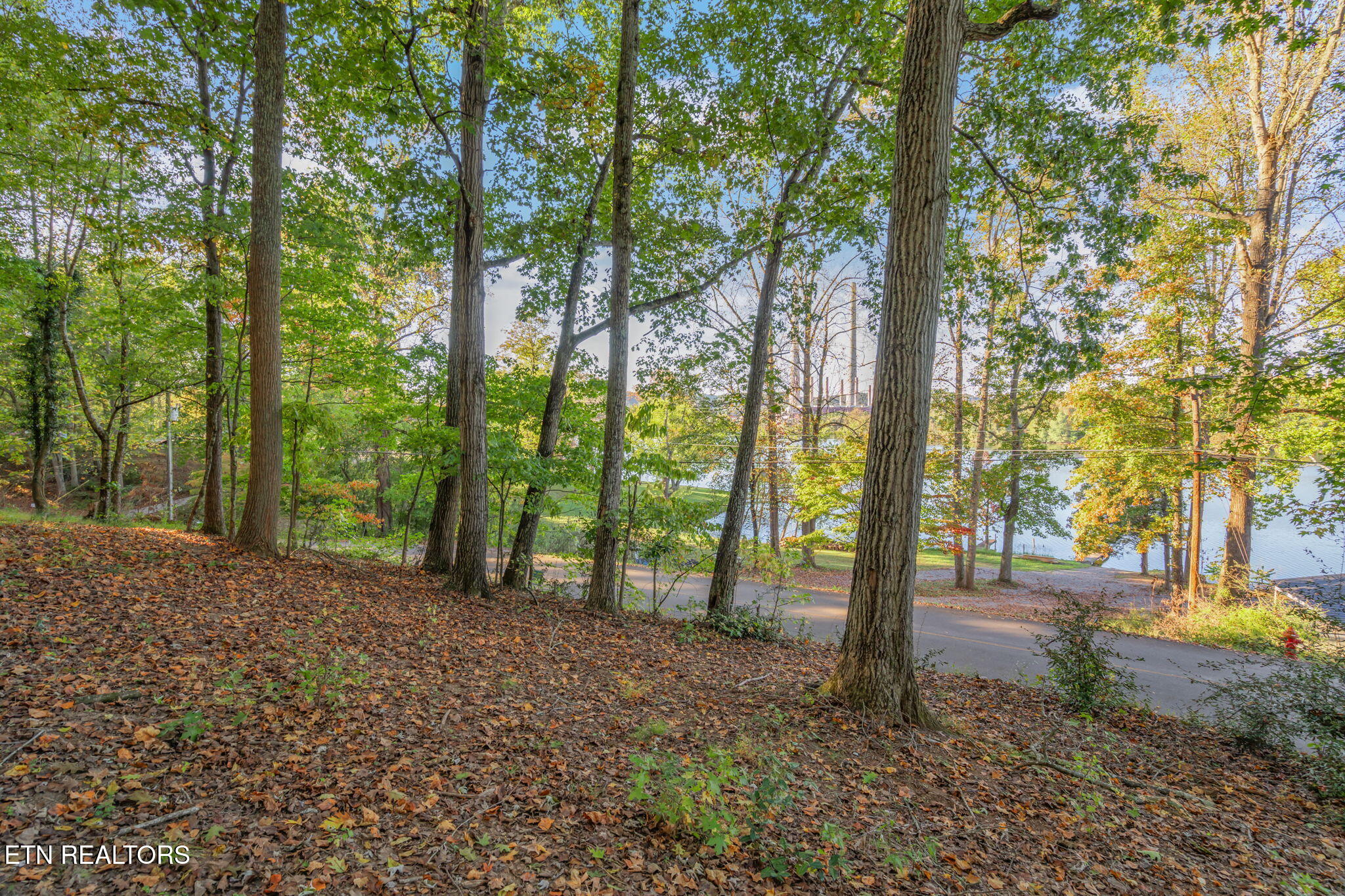 Lakewood Road Kingston, TN 37763 - Photo 4 of 22 5-web-or-mls-Lakewood Lot RF-5