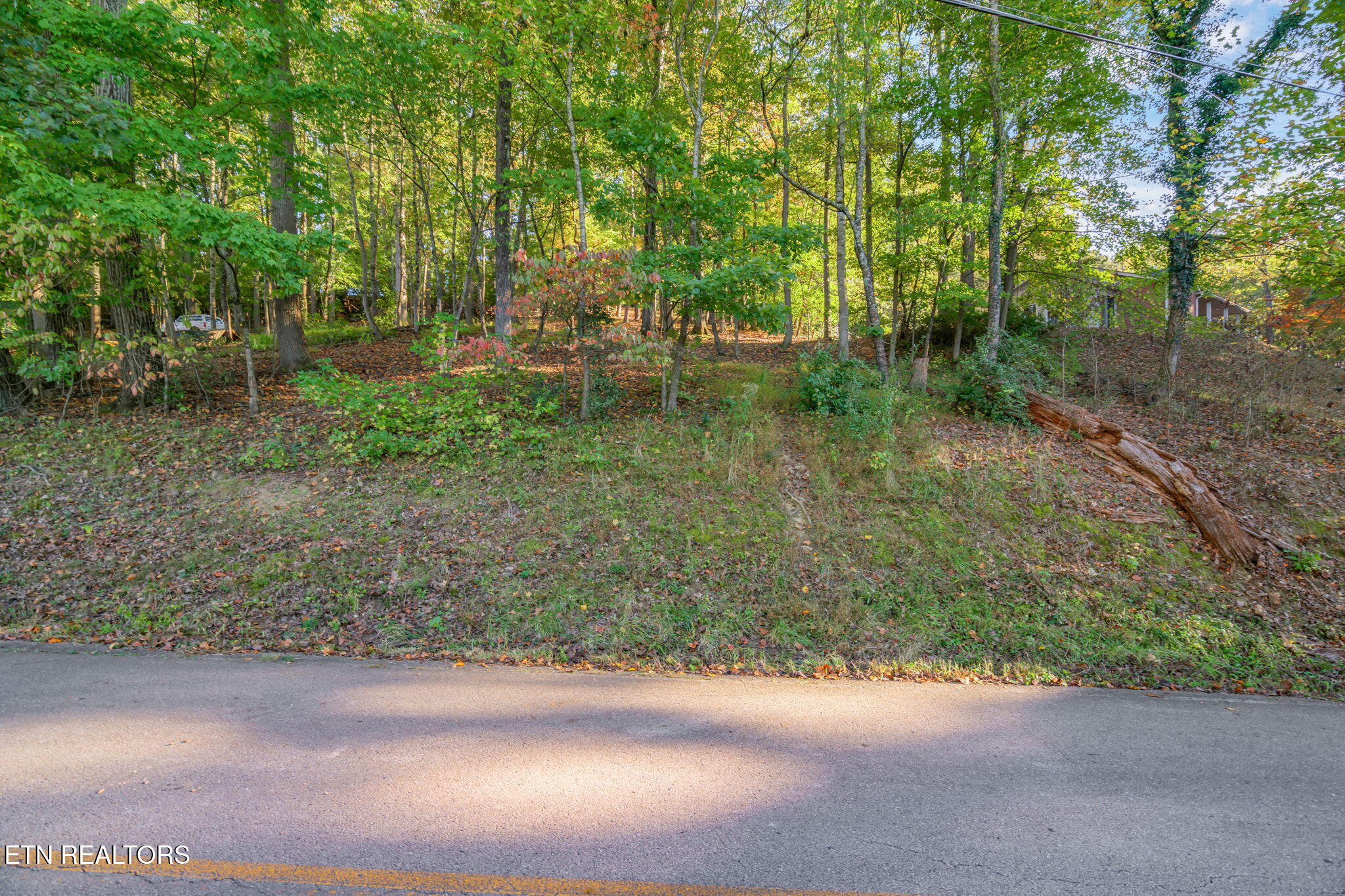 Lakewood Road Kingston, TN 37763 - Photo 6 of 22 1-web-or-mls-Lakewood Lot RF
