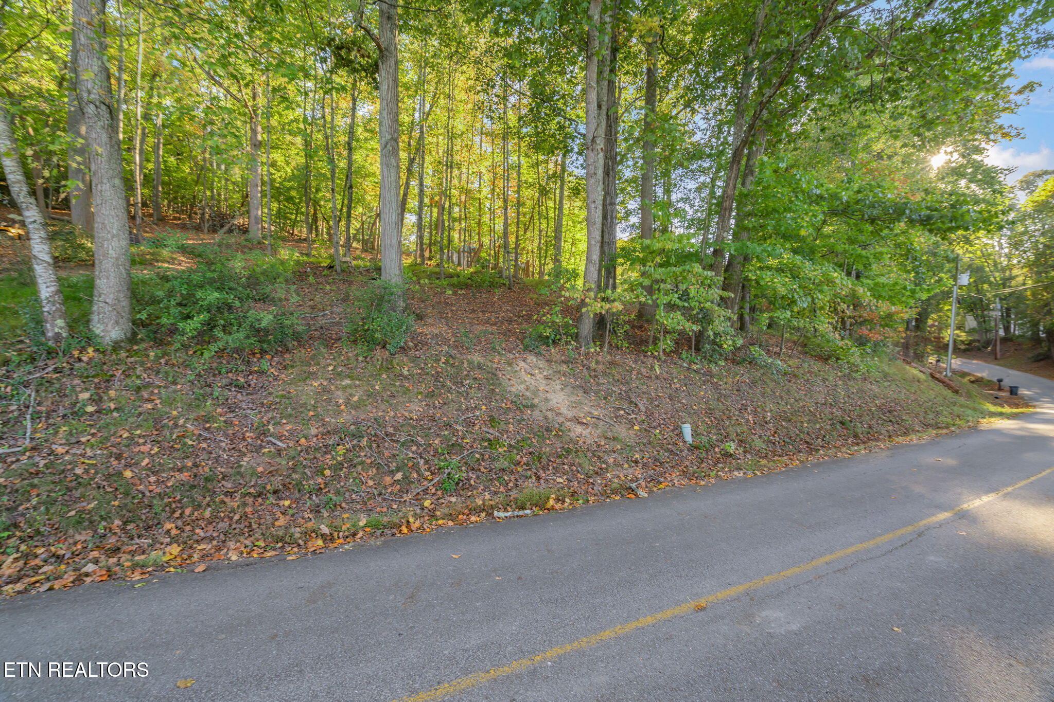 Lakewood Road Kingston, TN 37763 - Photo 10 of 22 8-web-or-mls-Lakewood Lot RF-8