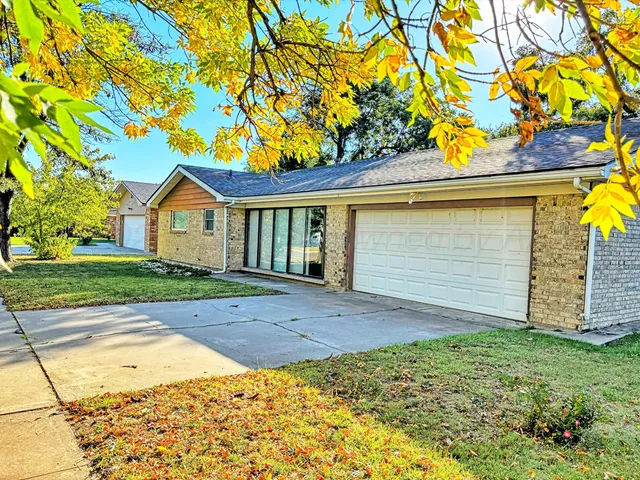 a view of a backyard with plants and large tree