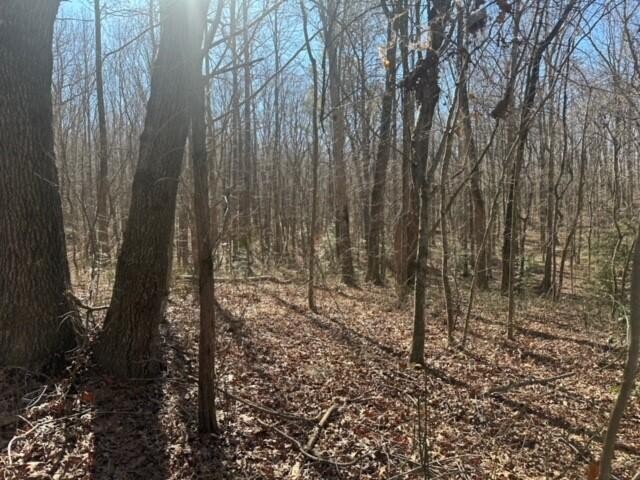1 Newt Meeks Road Tracy City, TN 37387 - Photo 10 of 18 Gallery Image 10