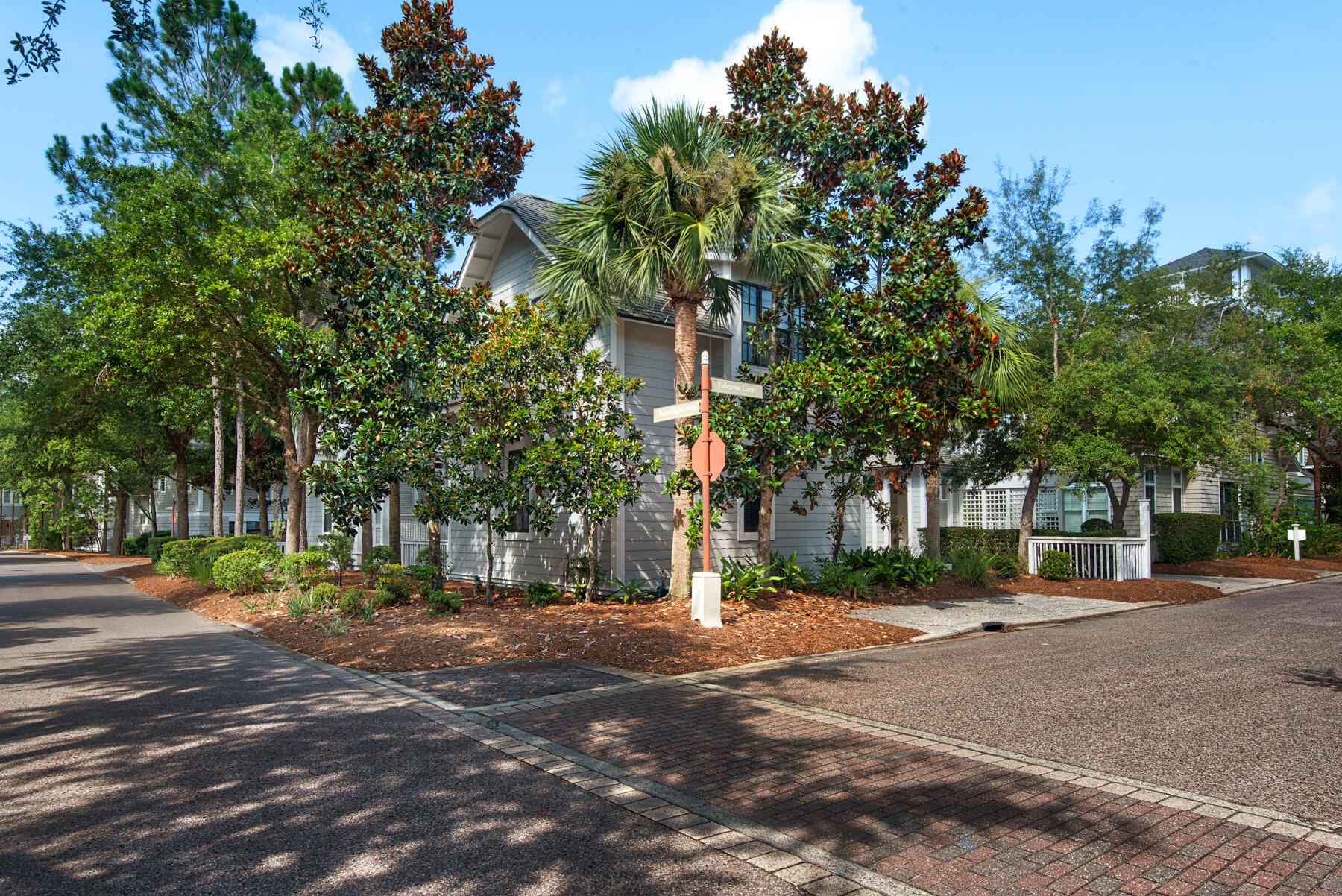 9 Tidepool Lane Inlet Beach, FL 32461 - Photo 4 of 86 a view of road with large trees