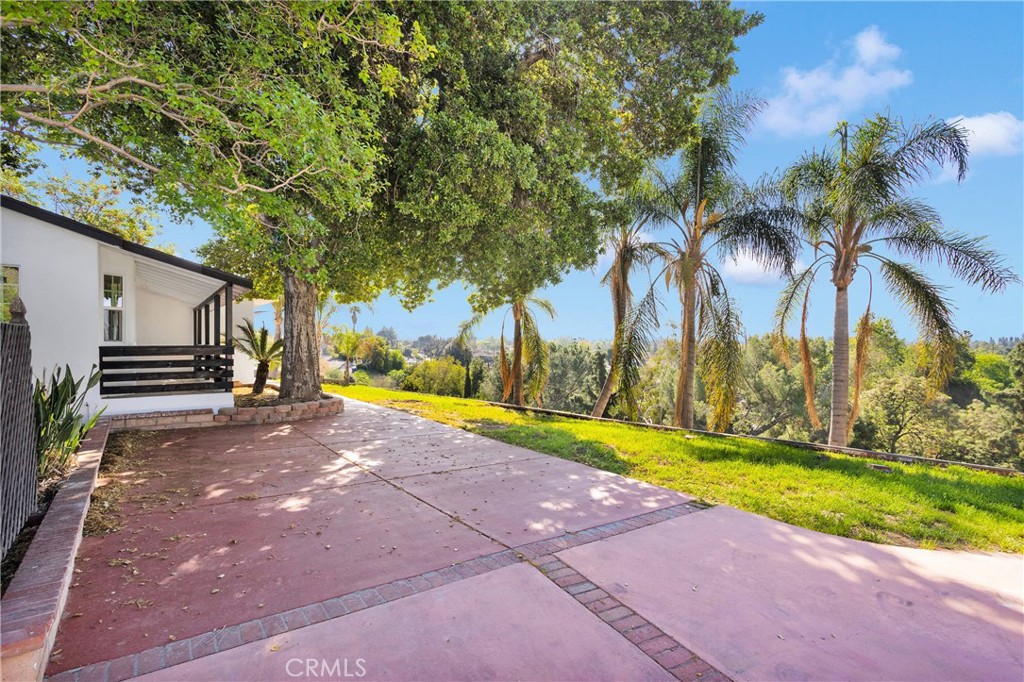 3489 Circle Road San Bernardino, CA 92405 - Photo 31 of 51 a view of a backyard with palm trees