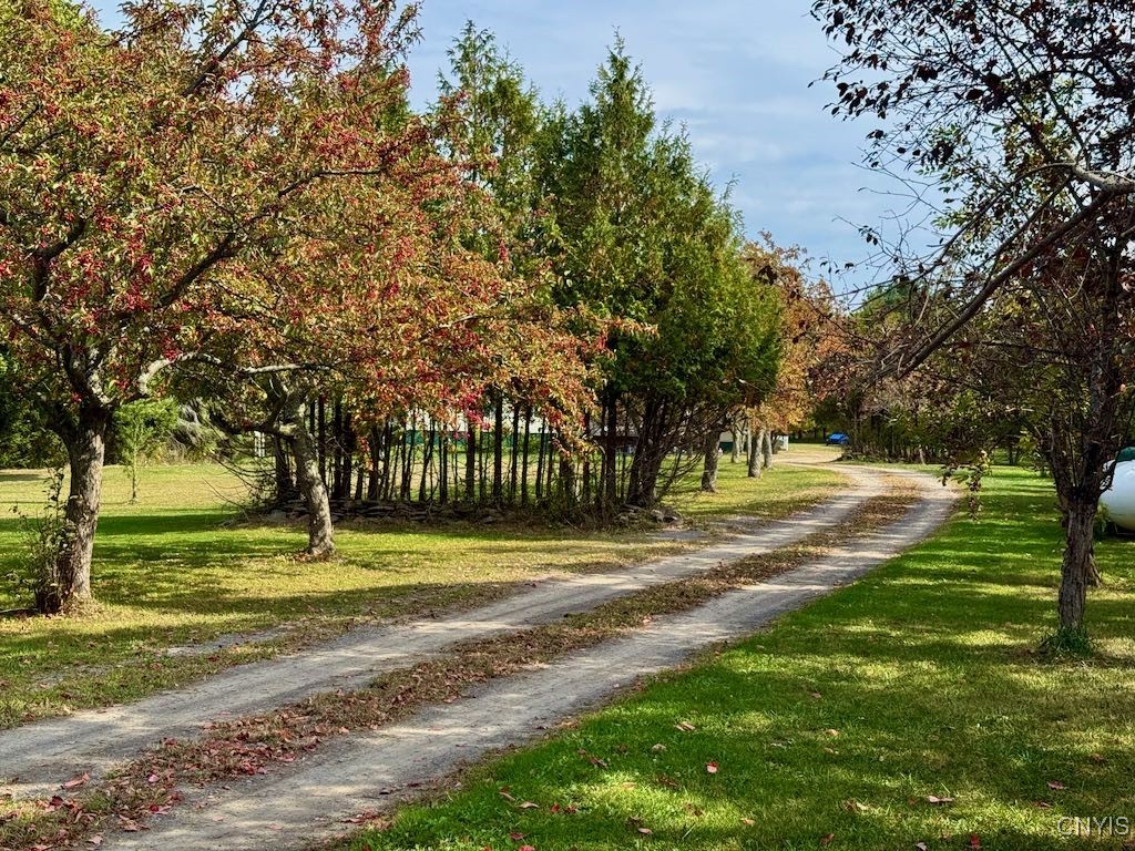 2645 County Rte 15 Sandy Creek, NY 13145 - Photo 11 of 45