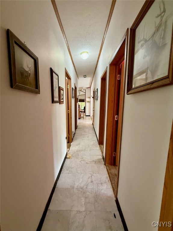 2645 County Rte 15 Sandy Creek, NY 13145 - Photo 29 of 45