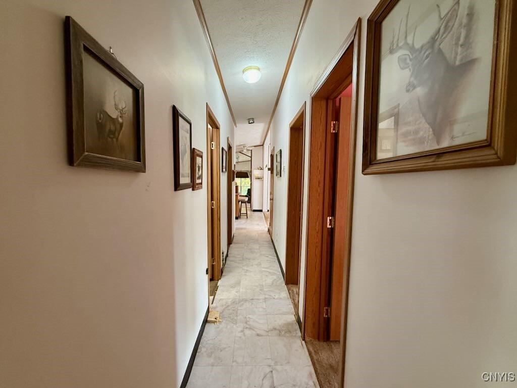 2645 County Rte 15 Sandy Creek, NY 13145 - Photo 33 of 45