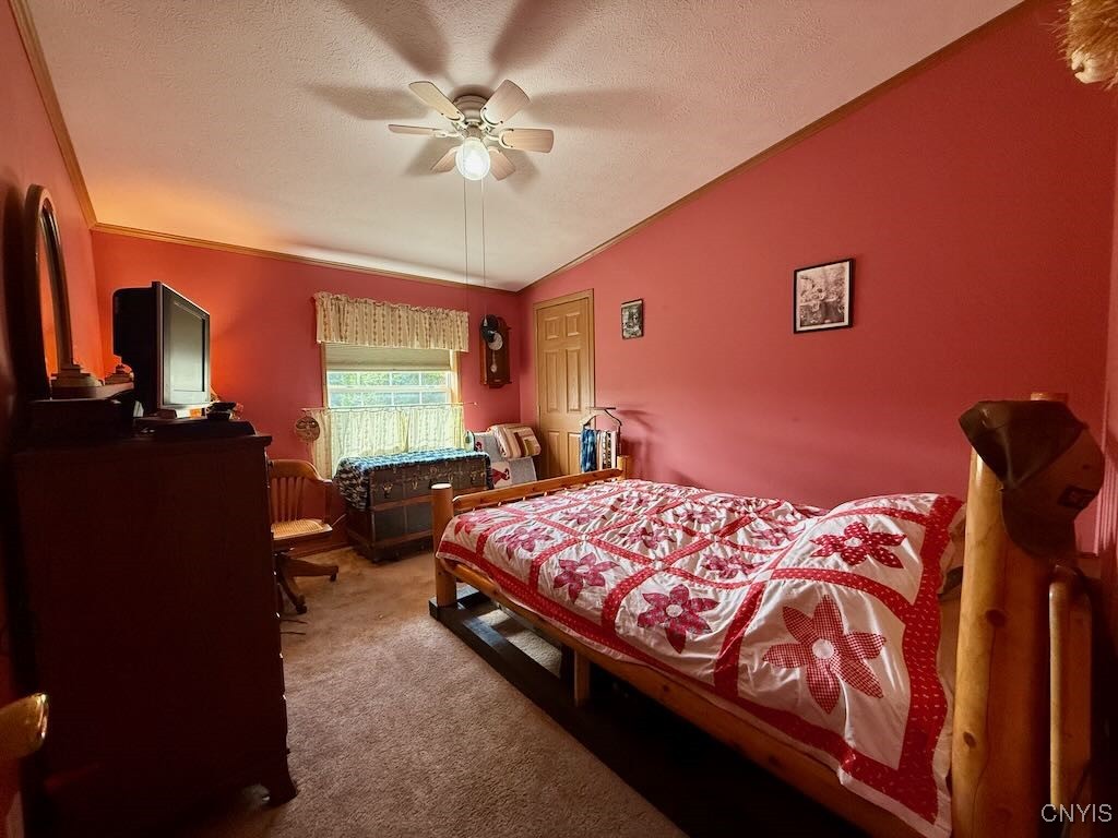 2645 County Rte 15 Sandy Creek, NY 13145 - Photo 35 of 45