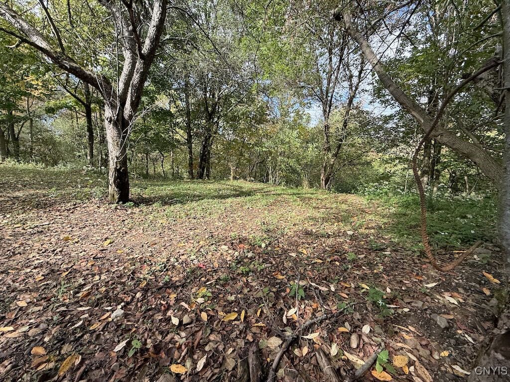 2645 County Rte 15 Sandy Creek, NY 13145 - Photo 40 of 45