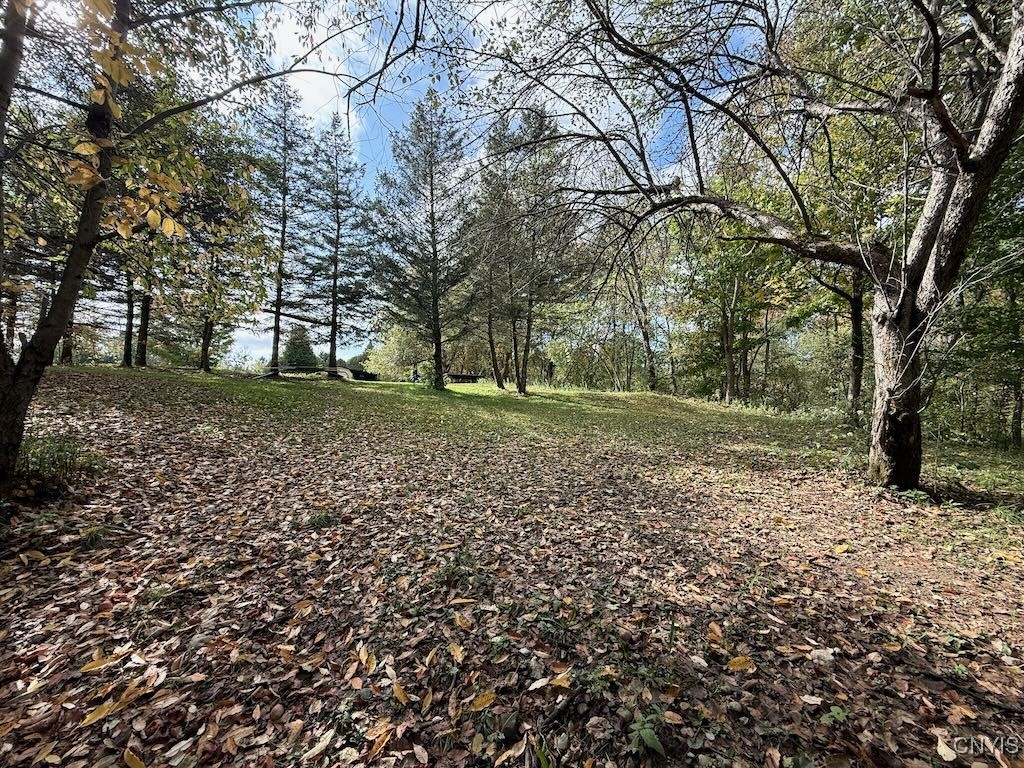 2645 County Rte 15 Sandy Creek, NY 13145 - Photo 41 of 45