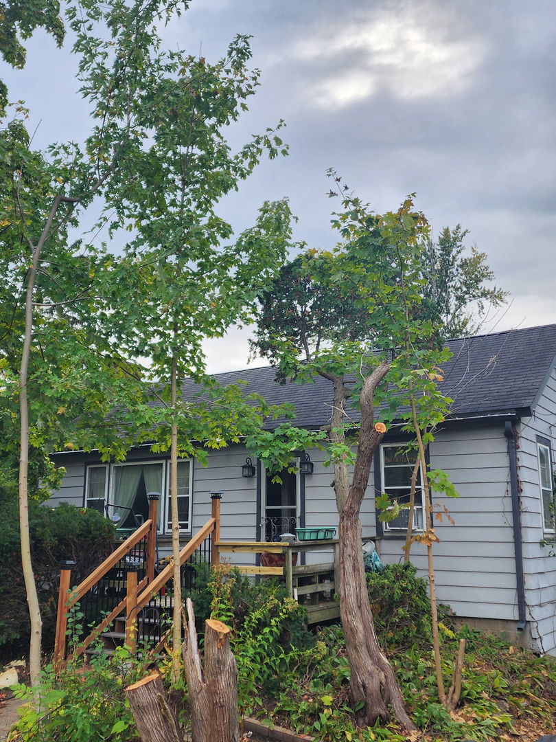 a view of a chair and table in backyard