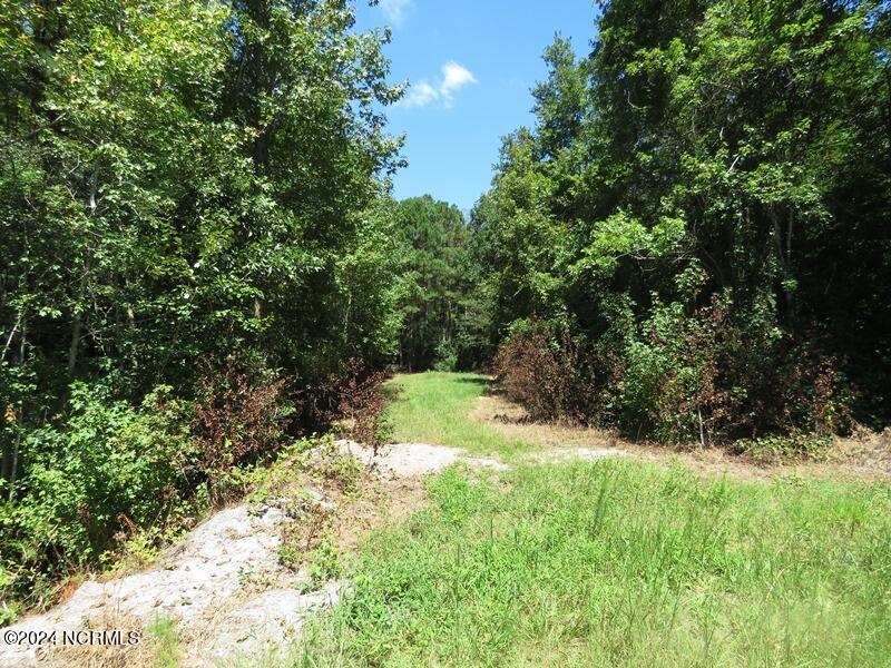4512 Tobacco Road Orrum, NC 28369 - Photo 24 of 50 Gallery Image 24