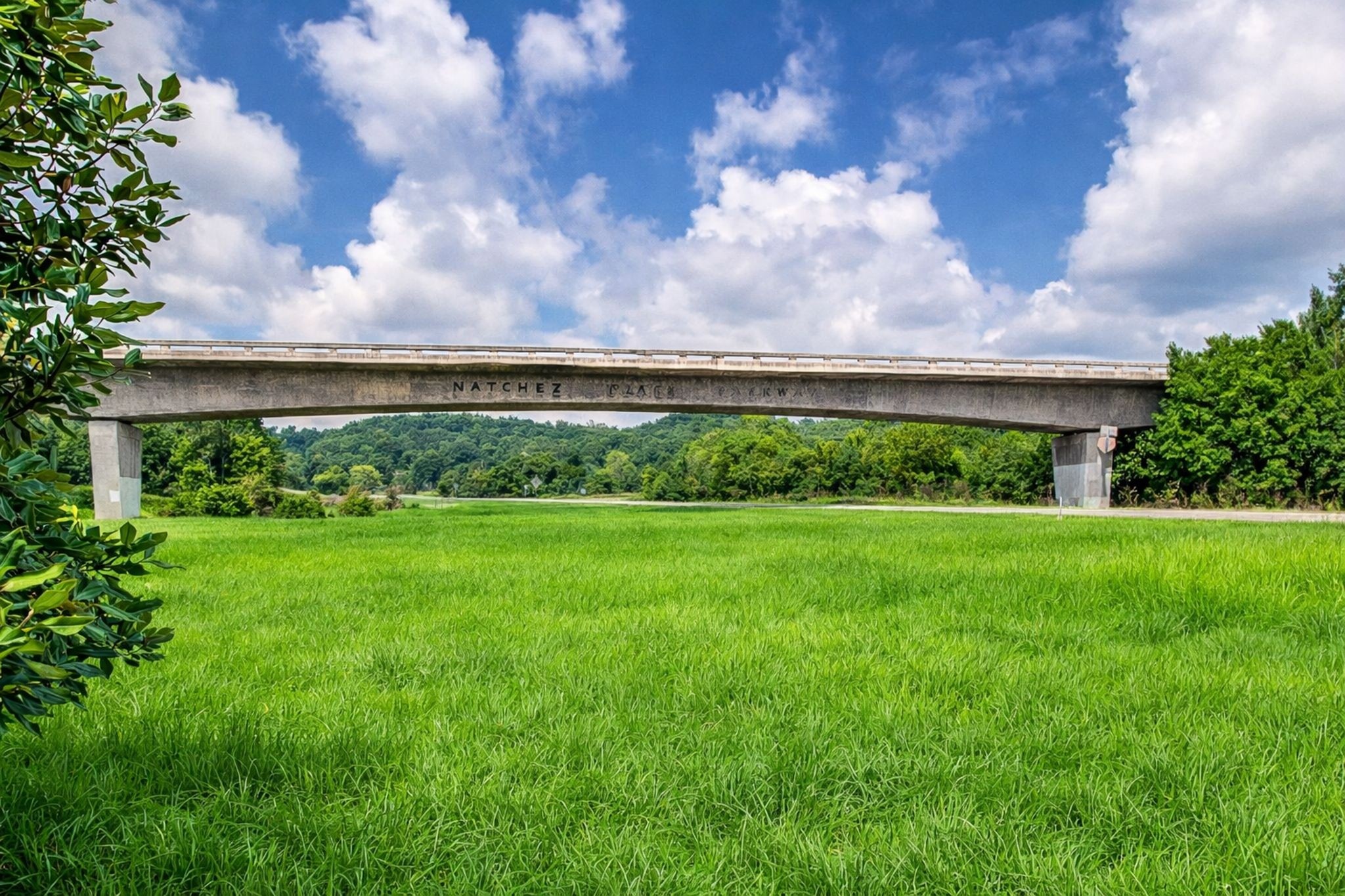 1211 General George Patton Road Nashville, TN 37221 - Photo 42 of 53 Gallery Image 42