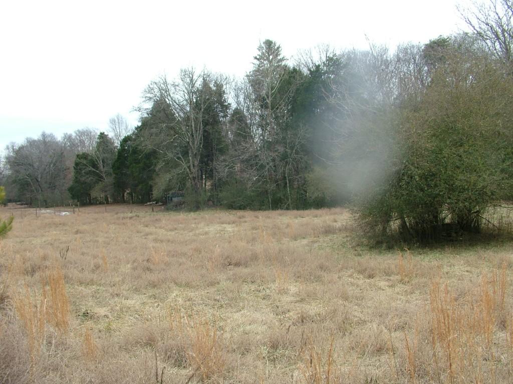 30-acres Dividing Ridge Road Spring City, TN 37381 - Photo 14 of 18 2002-10-09 20