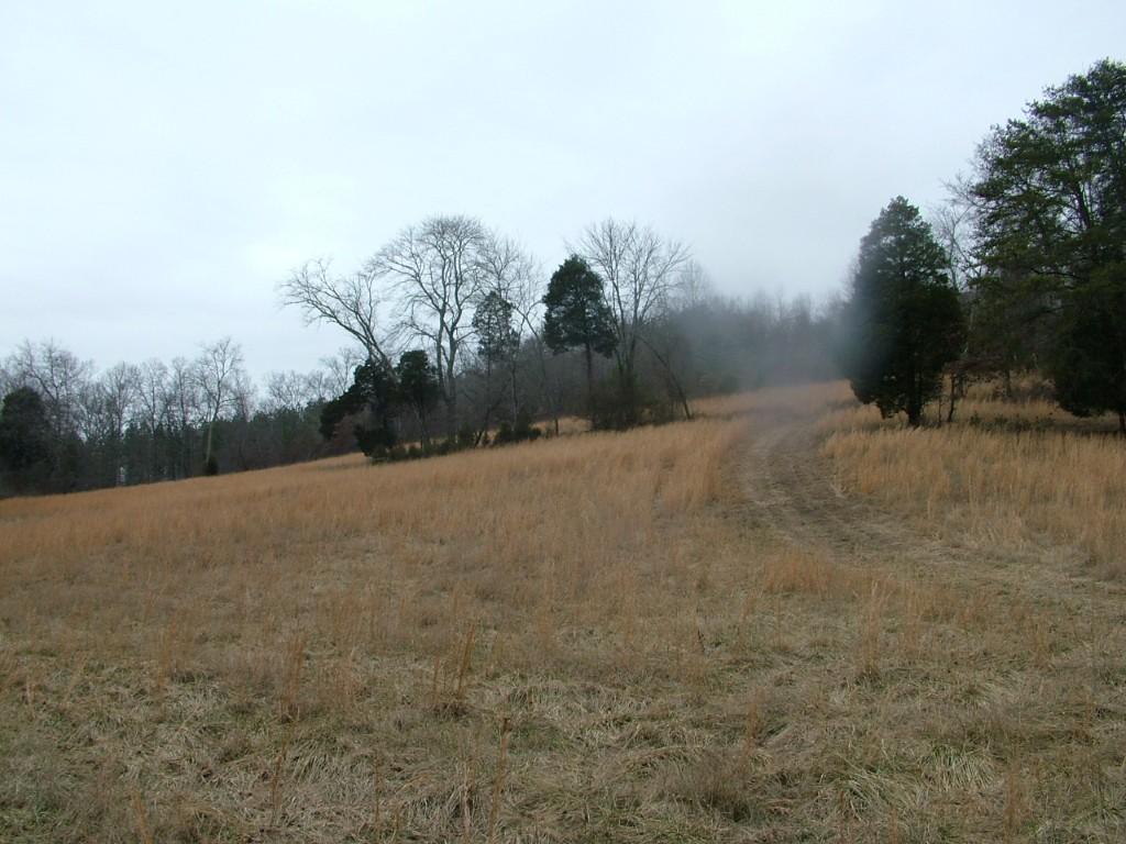 30-acres Dividing Ridge Road Spring City, TN 37381 - Photo 3 of 18 2002-10-09 19