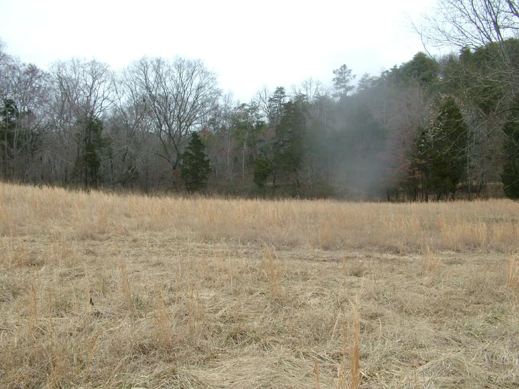 30-acres Dividing Ridge Road Spring City, TN 37381 - Photo 4 of 18 2002-10-09 19
