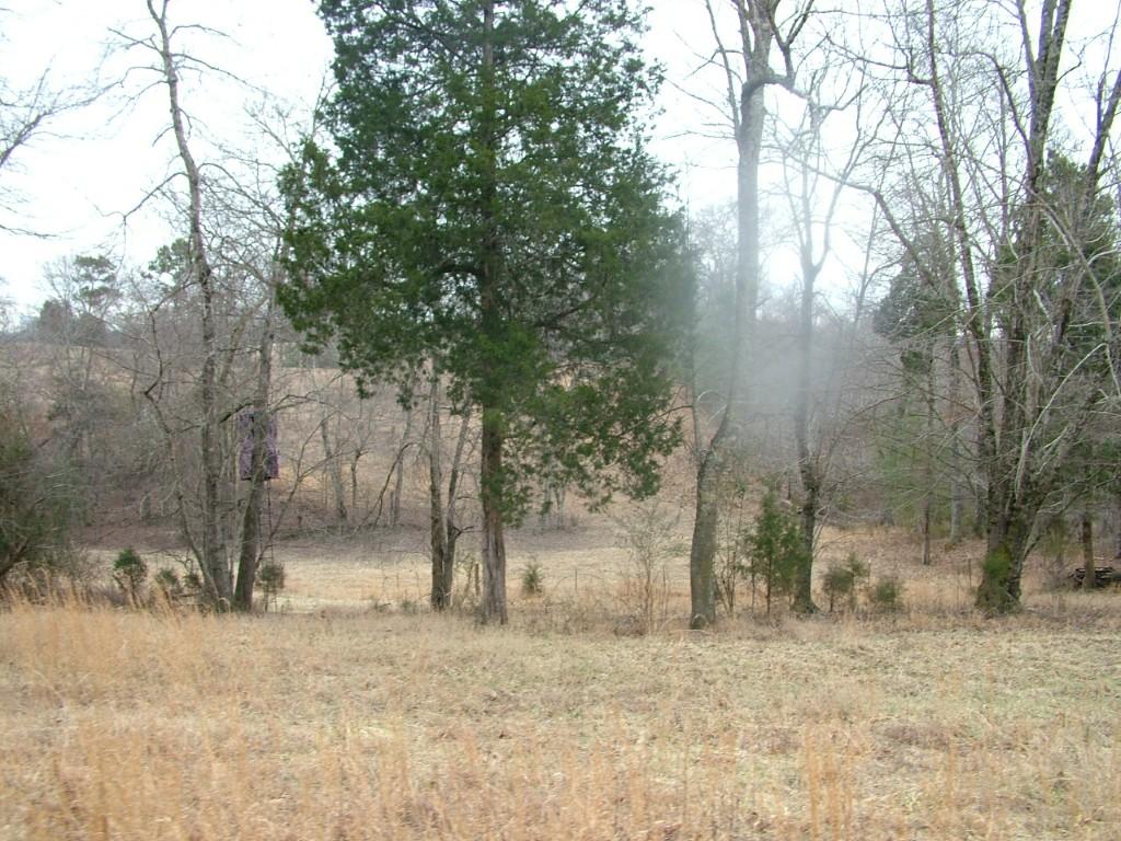 30-acres Dividing Ridge Road Spring City, TN 37381 - Photo 5 of 18 2002-10-09 19