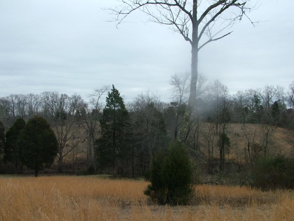 30-acres Dividing Ridge Road Spring City, TN 37381 - Photo 6 of 18 2002-10-09 19