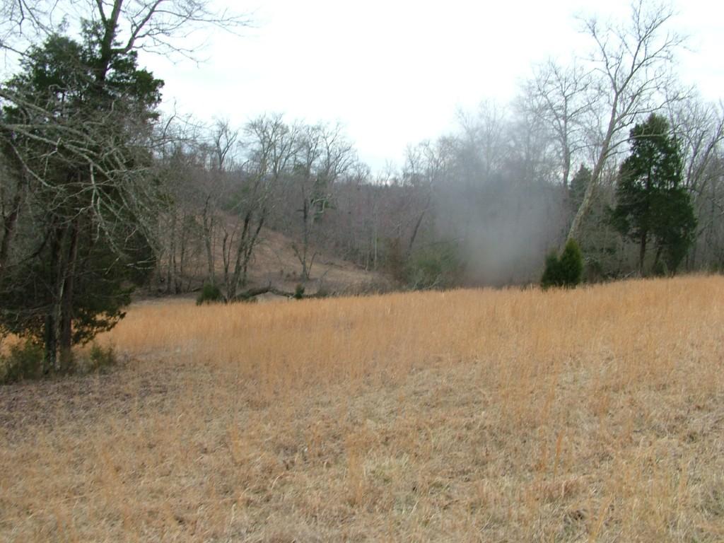 30-acres Dividing Ridge Road Spring City, TN 37381 - Photo 7 of 18 2002-10-09 19